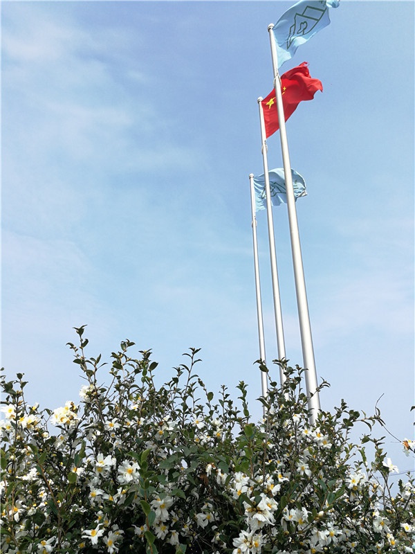1603971654140931.jpg 微信圖片_20201029193530.jpg