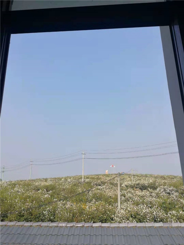 1608534013498115.jpg 微信圖片_20201221144205.jpg